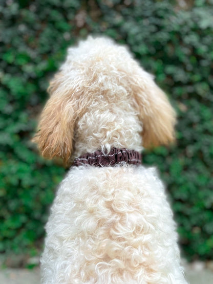 Tuff Pupper - Bungee Handle - Safety Collar - Woodland Brown