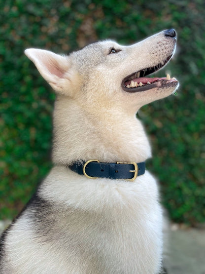 Tuff Pupper - Classic - Waterproof Collar - Midnight Blue