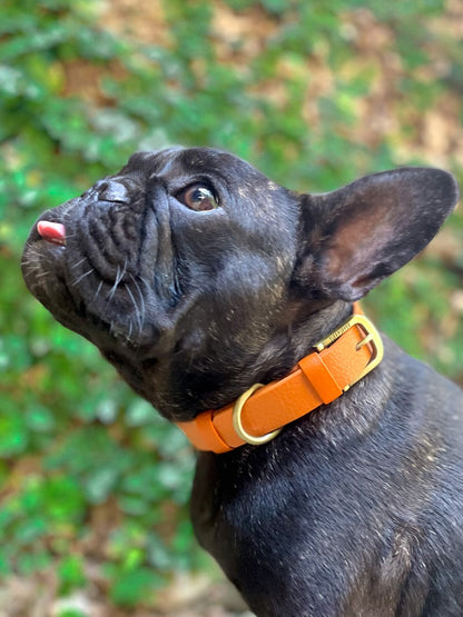 Tuff Pupper - Classic - Waterproof Collar - Burnt Orange