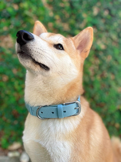 Tuff Pupper - Classic - Waterproof Collar - Sky Blue