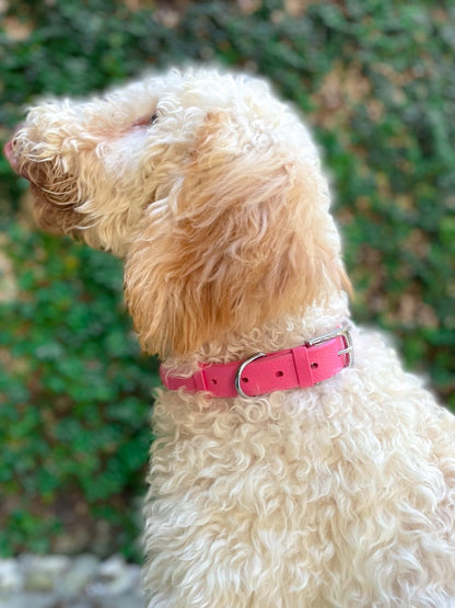 Tuff Pupper - Classic - Waterproof Collar - Punch Pink