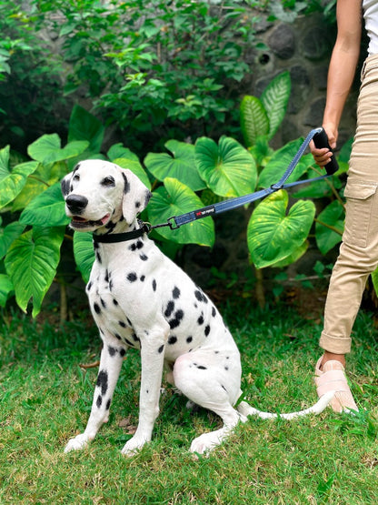 Tuff Pupper - Short Leash - Traffic Handle - Midnight Blue