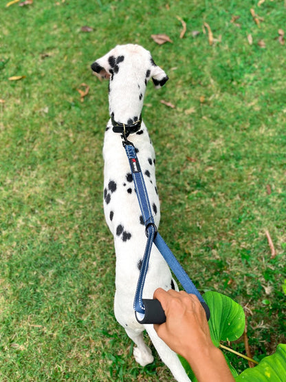 Tuff Pupper - Short Leash - Traffic Handle - Midnight Blue