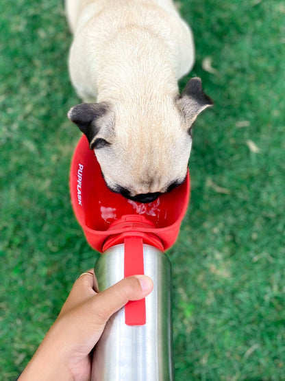 Tuff Pupper - PupFlask - 27oz Bottle - Crimson Red
