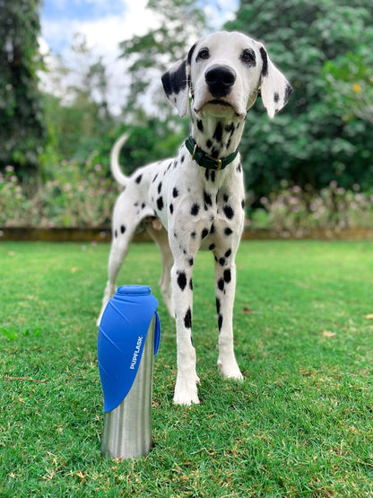 Tuff Pupper - PupFlask - 40oz Bottle - Nebulas Blue