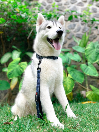 Tuff Pupper - Short Leash - Padded Handle - Midnight Blue