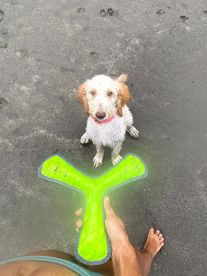 Tuff Pupper - Spinner - Floaty Toy - Spinner - Floaty Toy