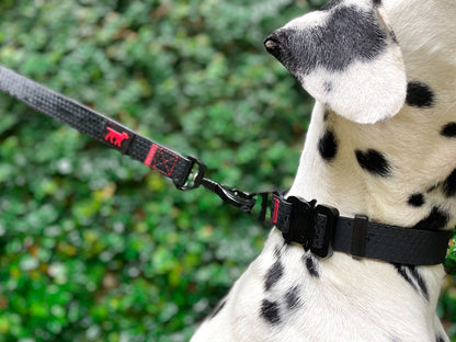 Tuff Pupper - Action - Tactical Collar - Epic Black