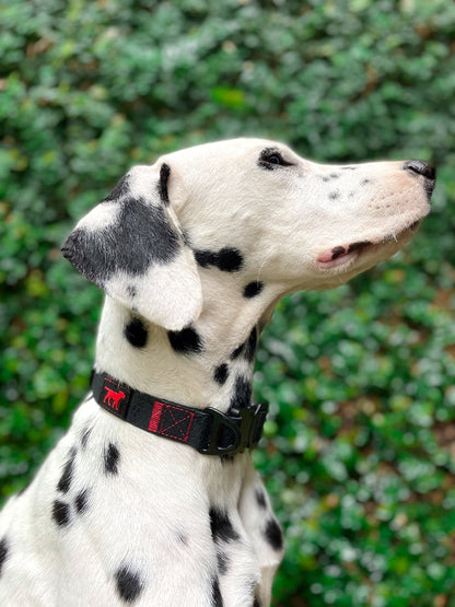 Tuff Pupper - Action - Tactical Collar - Epic Black