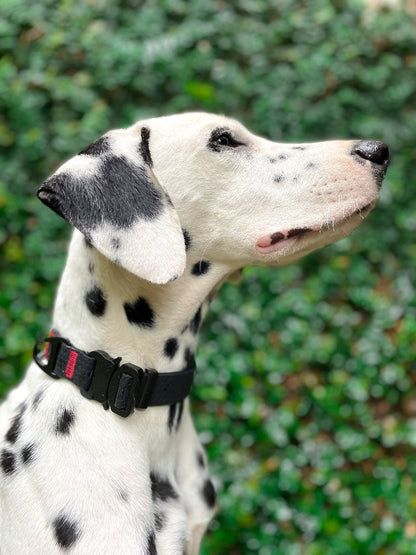 Tuff Pupper - Action - Tactical Collar - Epic Black