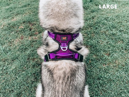 Tuff Pupper - Metro - Everyday Harness - Purple