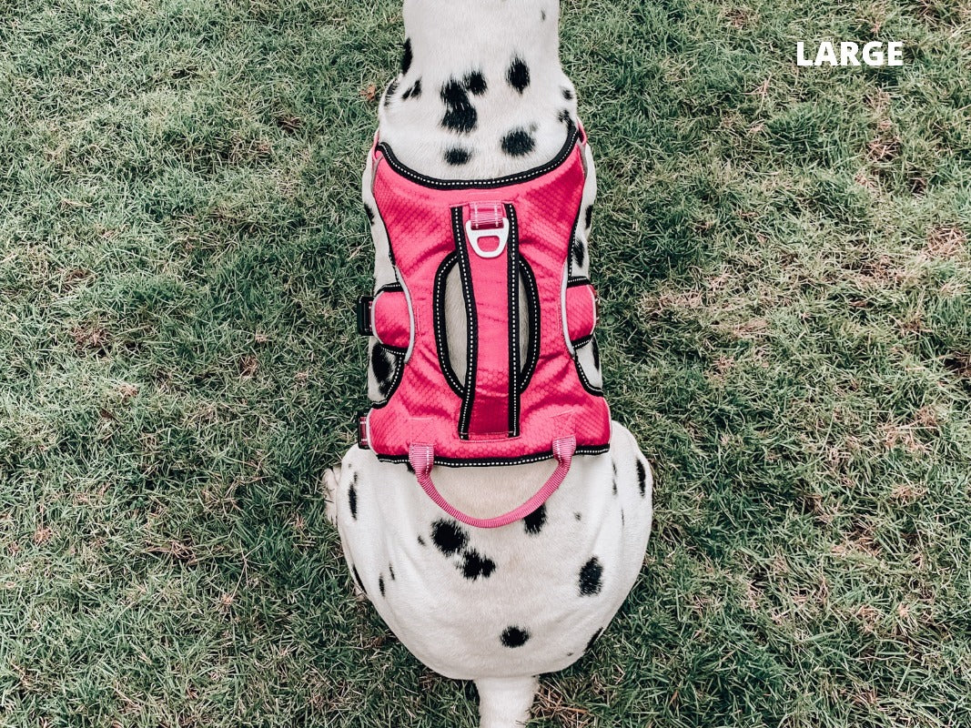 Tracker - Rugged Harness