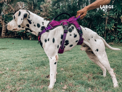 Tuff Pupper - Tracker - Rugged Harness - Purple