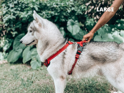 Tuff Pupper - Metro - Everyday Harness - March Red