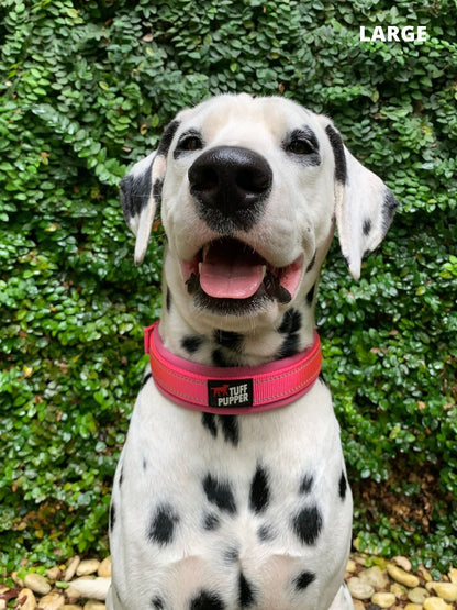 Tuff Pupper - Ultra Comfort - Padded Collar - Hot Pink