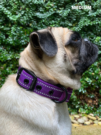 Tuff Pupper - Ultra Comfort - Padded Collar - Purple