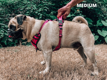 Tuff Pupper - Metro - Everyday Harness - Hot Pink