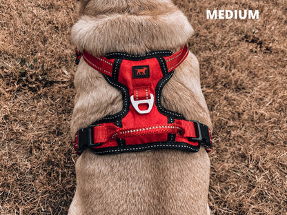 Tuff Pupper - Metro - Everyday Harness - March Red