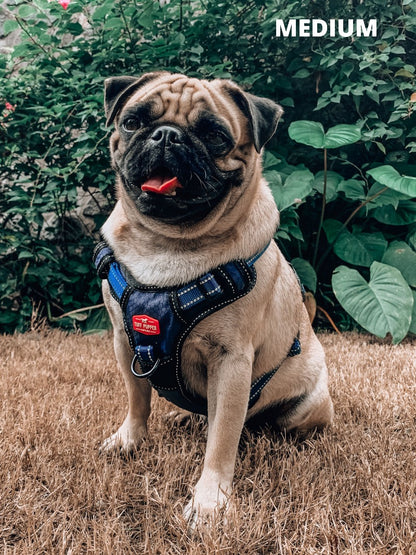 Tuff Pupper - Metro - Everyday Harness - Midnight Blue