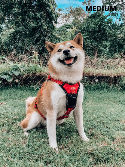 Tuff Pupper - Tracker - Rugged Harness - March Red