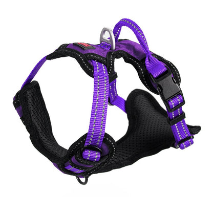 Tuff Pupper - Metro - Everyday Harness - Purple