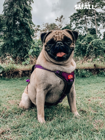 Tuff Pupper - Tracker - Rugged Harness - Purple