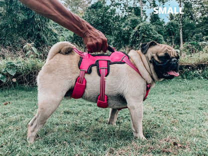 Tuff Pupper - Tracker - Rugged Harness - Hot Pink