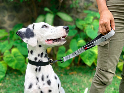 Tuff Pupper - Short Leash - Padded Handle - Steel Gray
