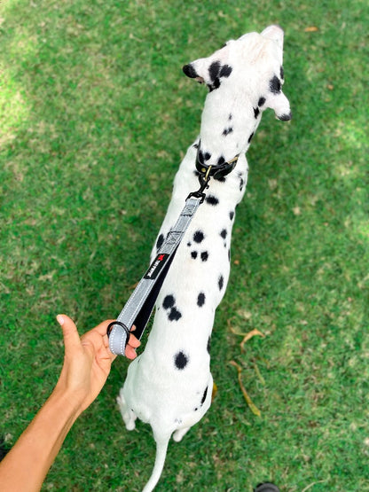 Tuff Pupper - Short Leash - Padded Handle - Steel Gray