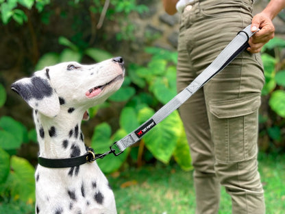 Tuff Pupper - Short Leash - Padded Handle - Steel Gray