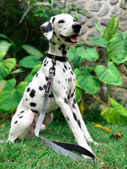 Tuff Pupper - Short Leash - Padded Handle - Steel Gray