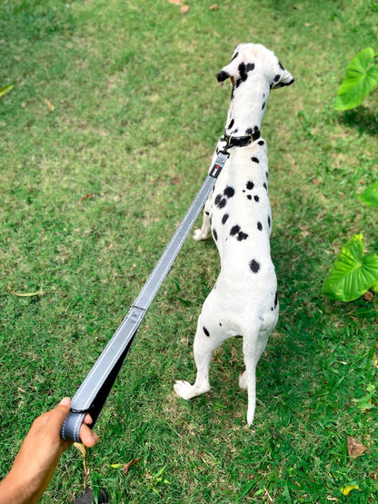 Tuff Pupper - Short Leash - Padded Handle - Steel Gray
