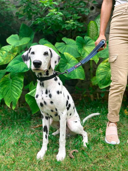 Tuff Pupper - Short Leash - Traffic Handle - Midnight Blue