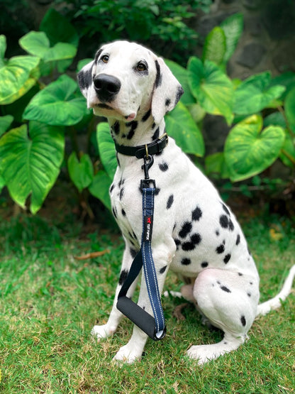 Tuff Pupper - Short Leash - Traffic Handle - Midnight Blue