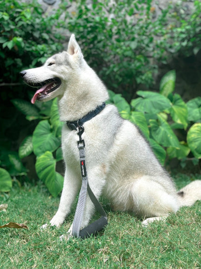 Tuff Pupper - Short Leash - Traffic Handle - Steel Gray