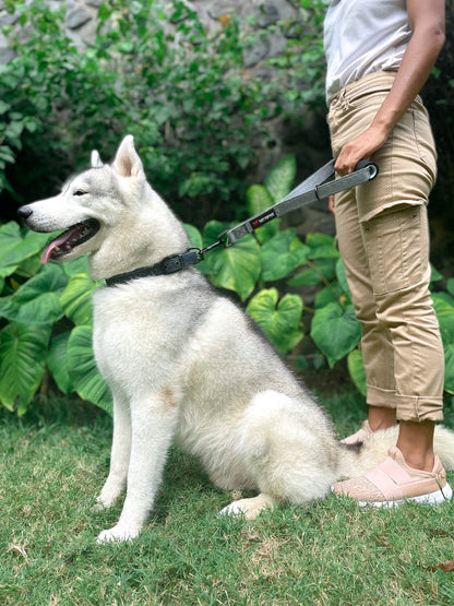 Tuff Pupper - Short Leash - Traffic Handle - Steel Gray