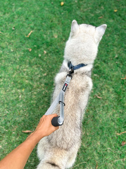 Tuff Pupper - Short Leash - Traffic Handle - Steel Gray