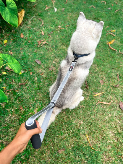 Tuff Pupper - Short Leash - Traffic Handle - Steel Gray
