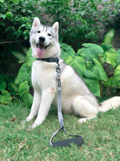 Tuff Pupper - Short Leash - Traffic Handle - Steel Gray