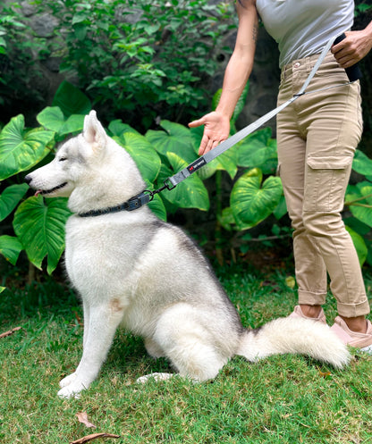 Tuff Pupper - Short Leash - Traffic Handle - Steel Gray