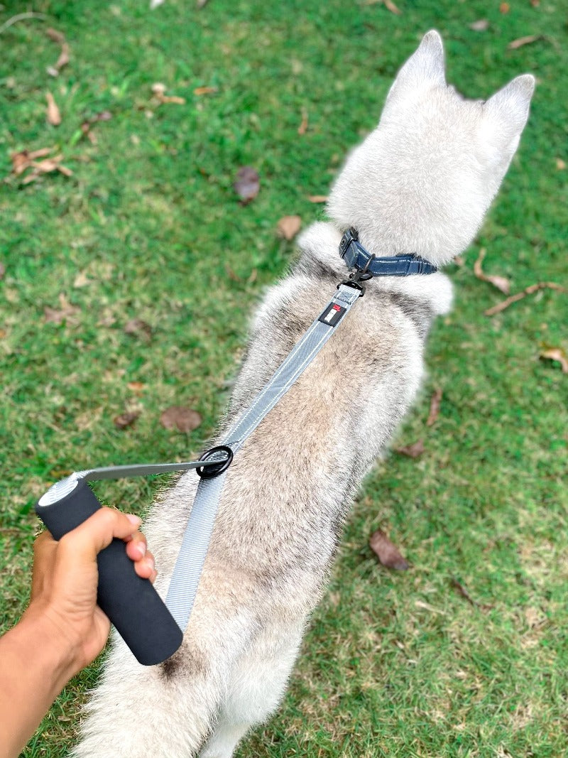 Steel Gray